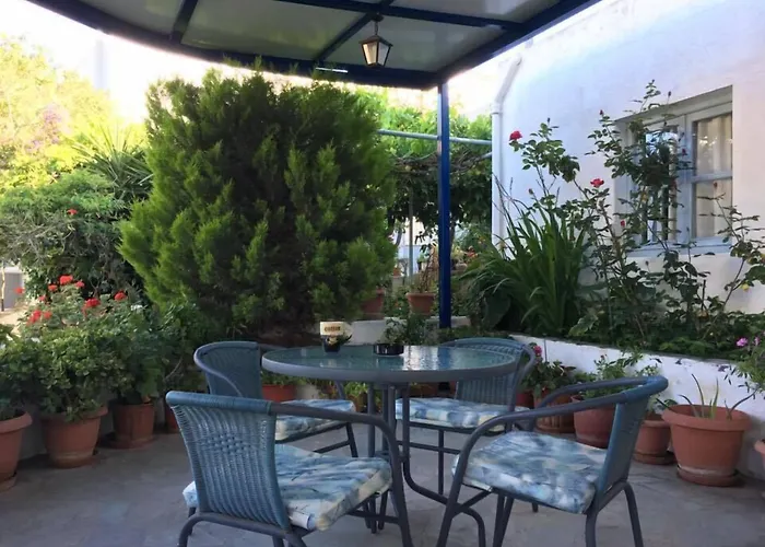 Rodon ホテル スカラ